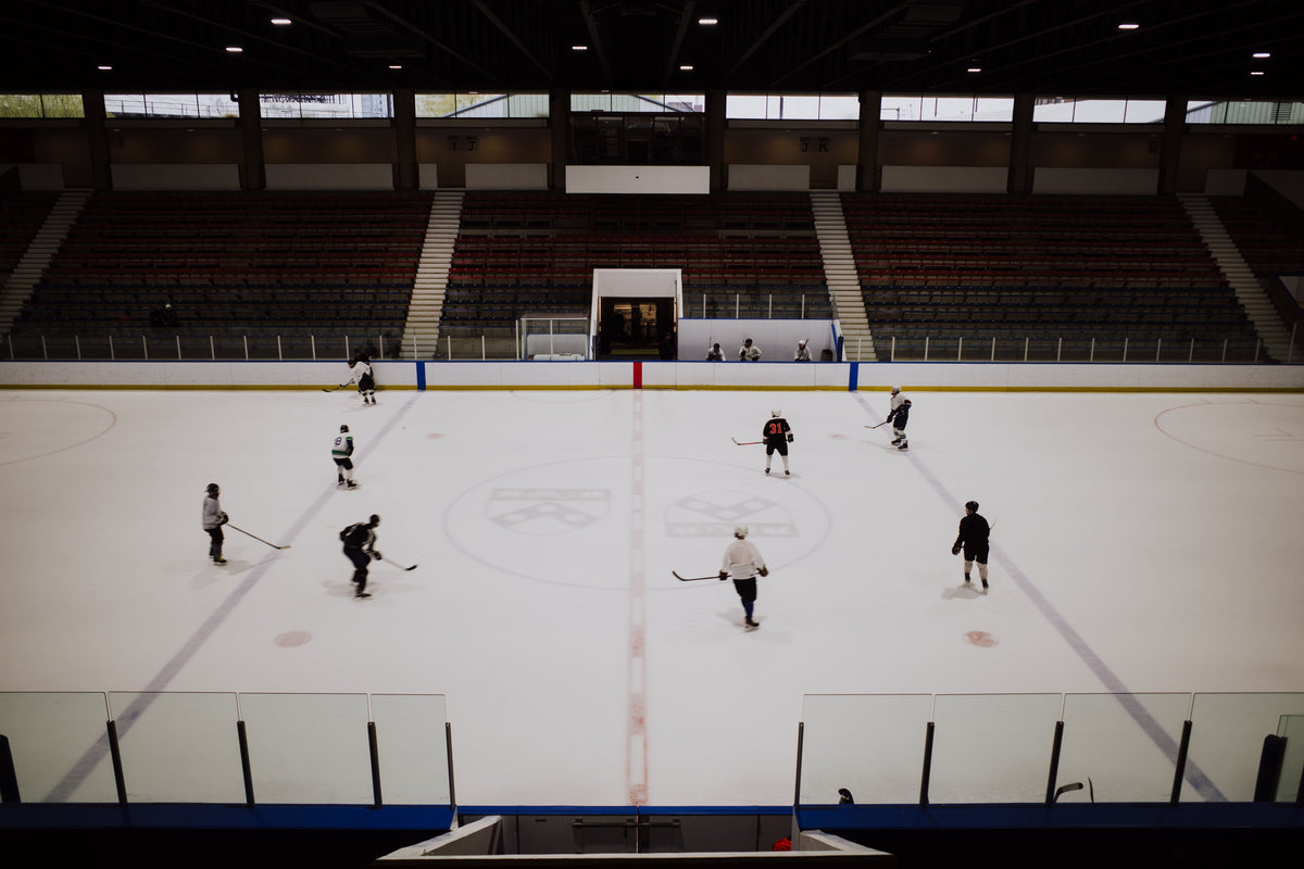 Which UK Arenas Could Host Ice Hockey?
